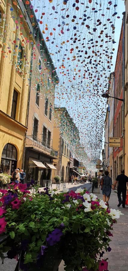 Chez Mamita : Appartement Dans Quartier Calme. Καρκασόν Εξωτερικό φωτογραφία